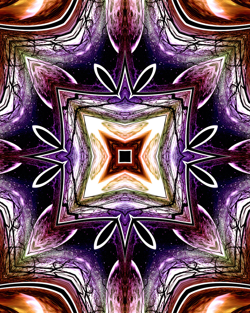 Wormhole in Wonderland 1