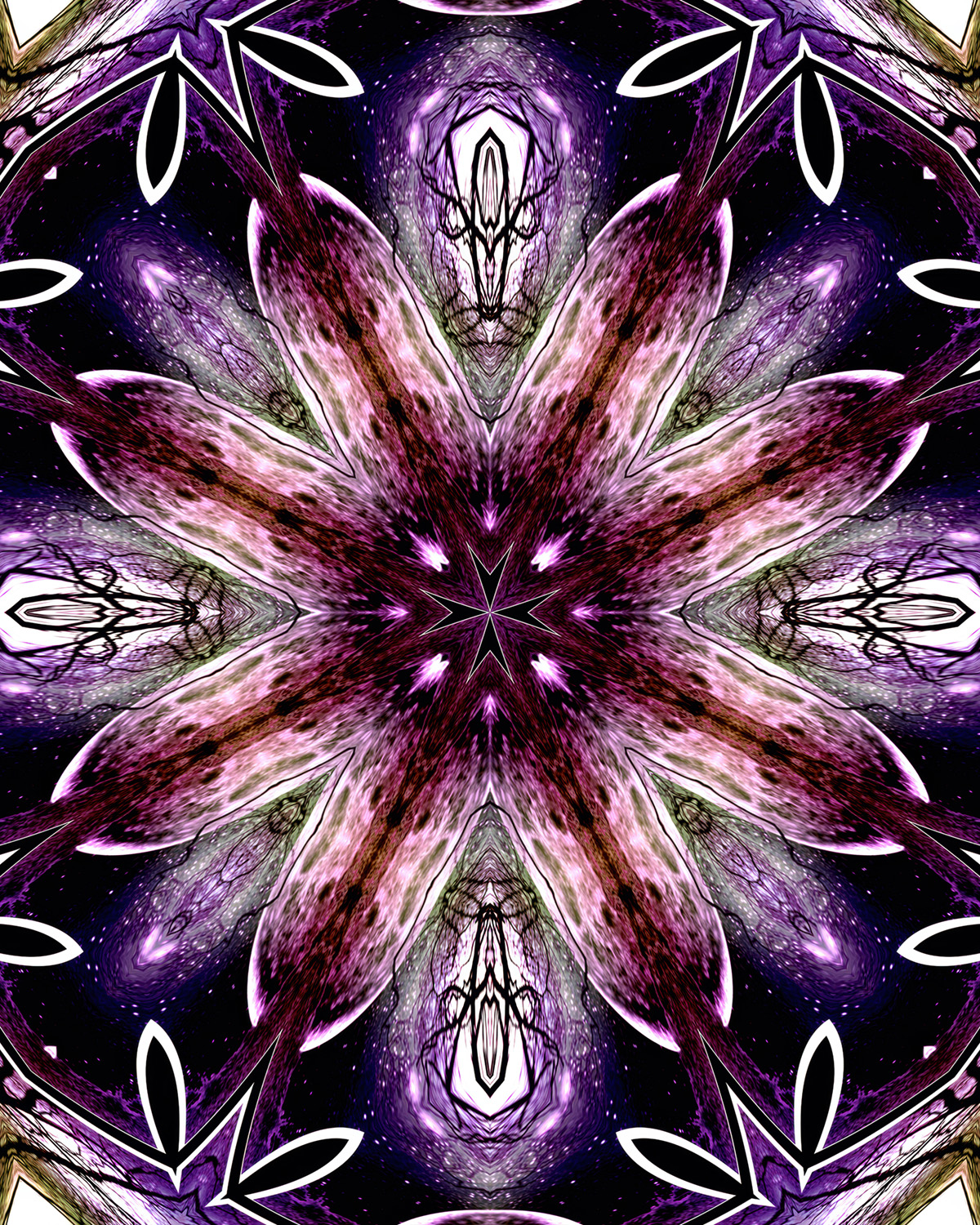 Wormhole in Wonderland 3