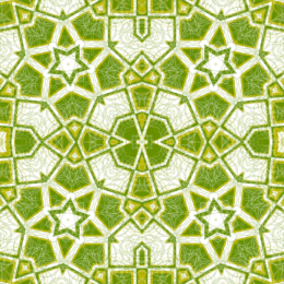 Enchanted Pattern 005