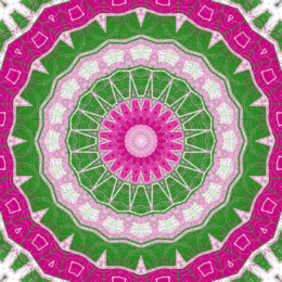 Enchanted Pattern 016