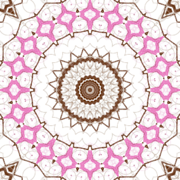 Enchanted Pattern 020