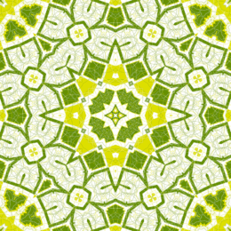 Enchanted Pattern 025