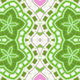 Enchanted Pattern 039