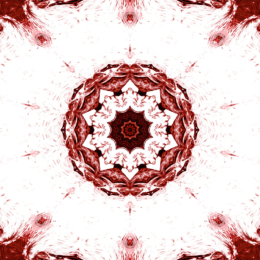 A crimson mandala radiates outward in sharp, petal-like symmetry, its intricate star-shaped core framed by swirling, feathered patterns on a stark white background.